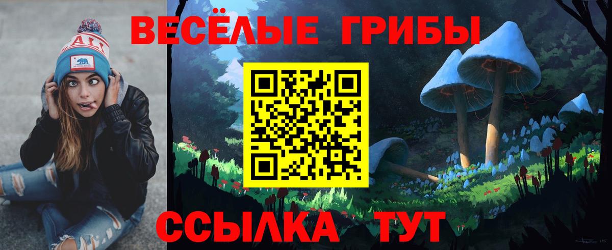 Псилоцибиновые грибы прущие грибы  Галлюциногенные грибы прущие грибы  Вход с VPN  Коломна 